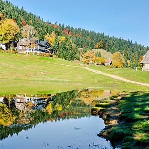 Schwarzenberg (8)